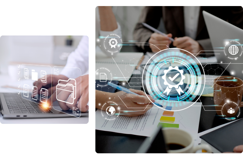 Internal IT Audit