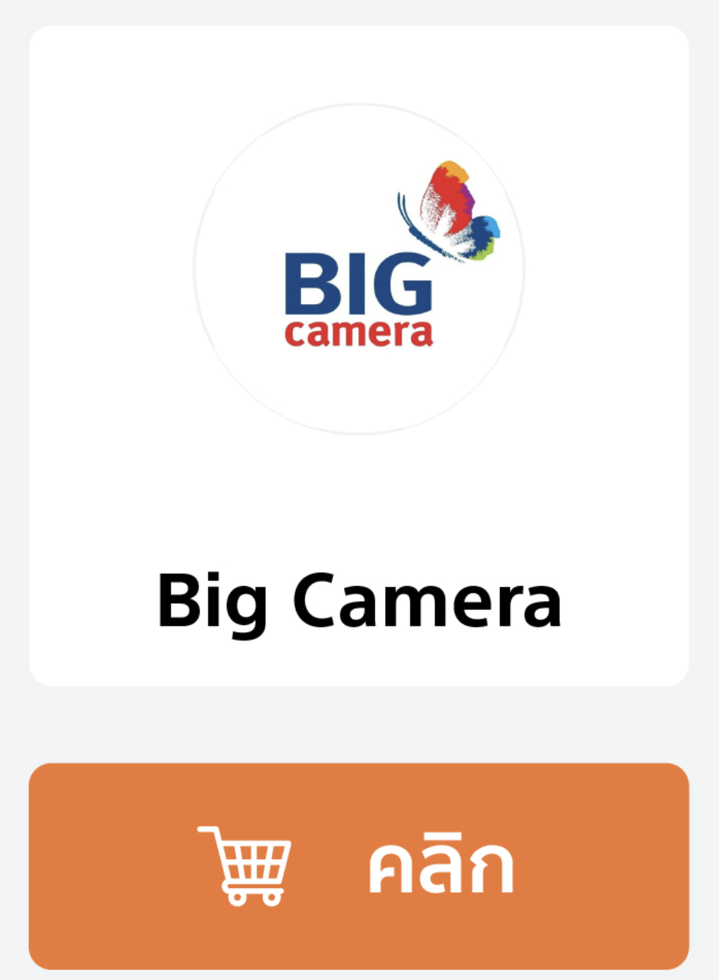 Big Camera