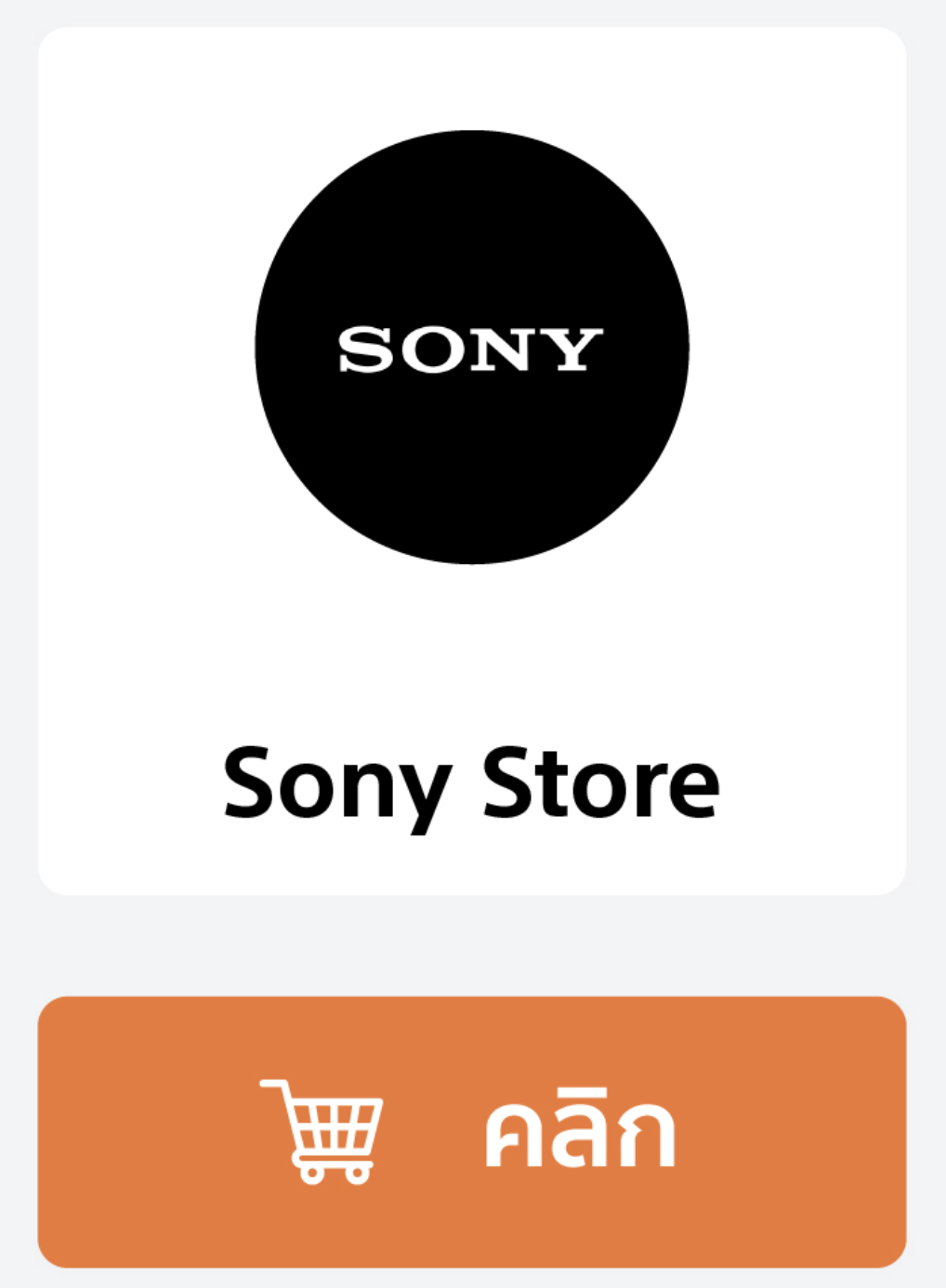 Sony Store